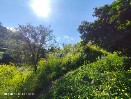 Residential Land for sale