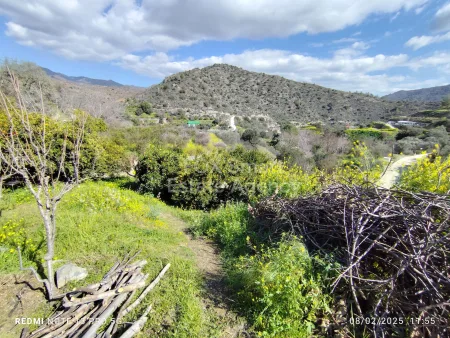 Residential Land for sale