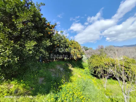 Residential Land for sale