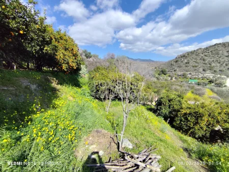 Residential Land for sale