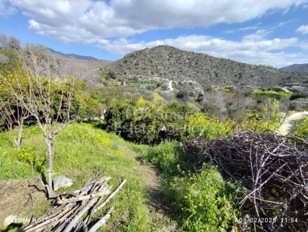 Residential Land for sale