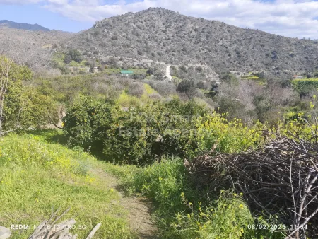 Residential Land for sale