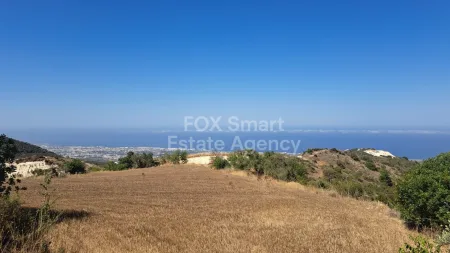 Κοιλί, Πάφος