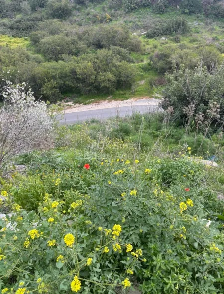 קרקע למגורים למכירה