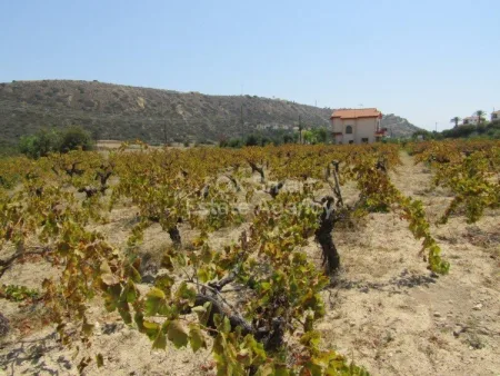 Terreno Residenziale in vendita