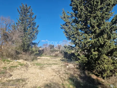 Tsada, Pafos
