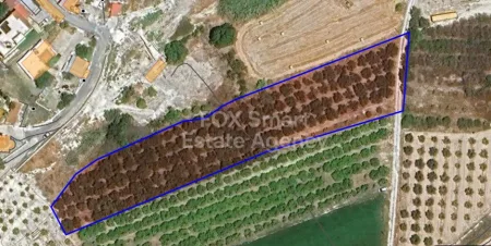 Terreno Residenziale in vendita