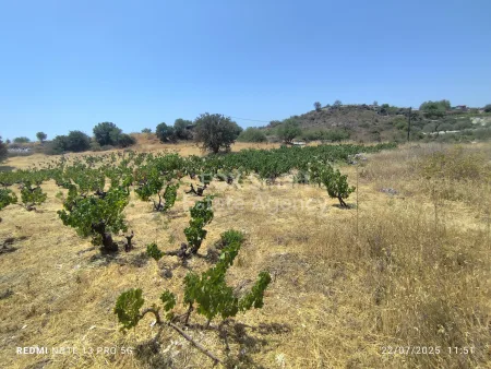 Terreno Residencial en venta