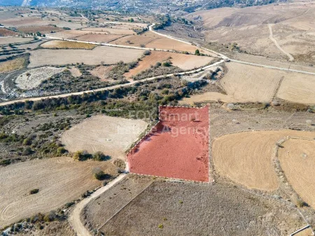 Paphos, Paphos