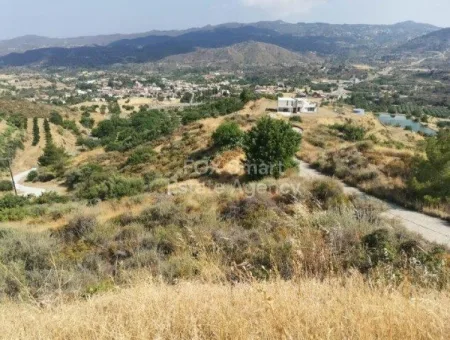 קרקע למגורים למכירה