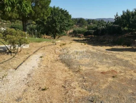 Residential Land for sale