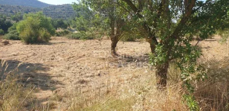 Οικιστικό Οικόπεδο προς πώληση
