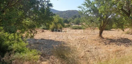 Οικιστικό Οικόπεδο προς πώληση