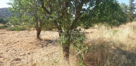 Οικιστικό Οικόπεδο προς πώληση