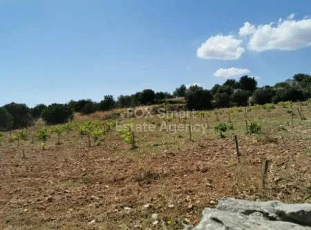 Residential Land for sale