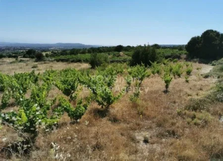 Residential Land for sale