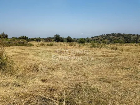 קרקע למגורים למכירה