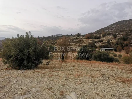 Pareklisia, Limassol