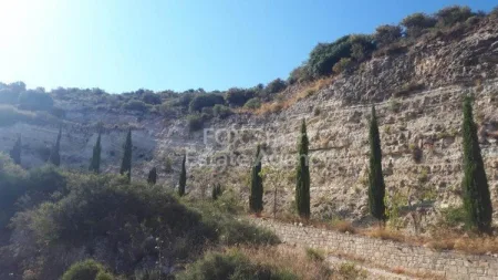 קרקע למגורים למכירה
