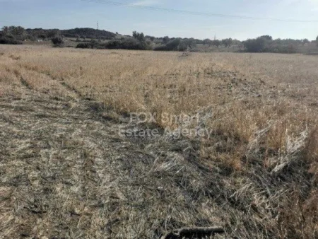 קרקע למגורים למכירה