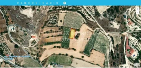 Letymvou, Pafos