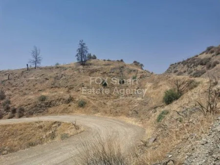 קרקע למגורים למכירה