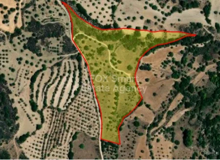 Terreno Residenziale in vendita