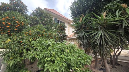 Thumbnail 4 Office For Rent In Cyprus