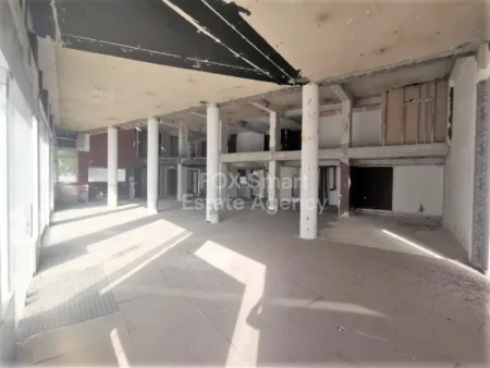 ניקוסיה, ניקוסיה