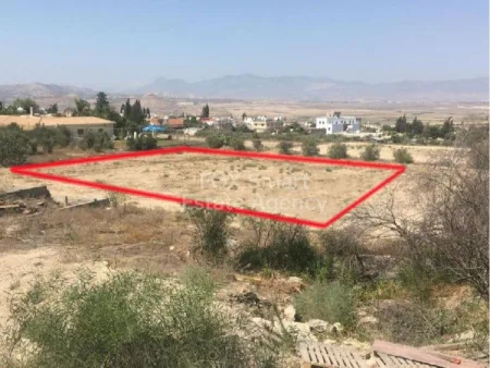 קרקע למגורים למכירה