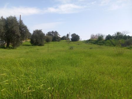 Agios Ioannis Malountas, Nicosia