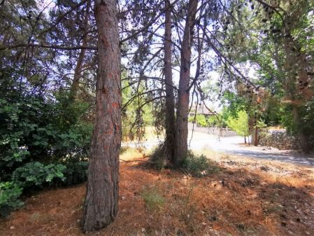 Terrains résidentiels à vendre