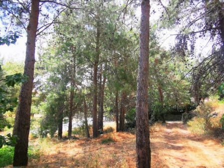 Terrains résidentiels à vendre