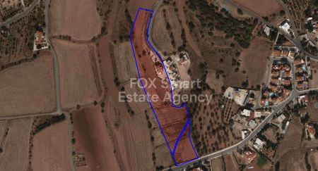 Анарита, Пафос