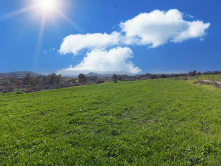 קרקע למגורים למכירה