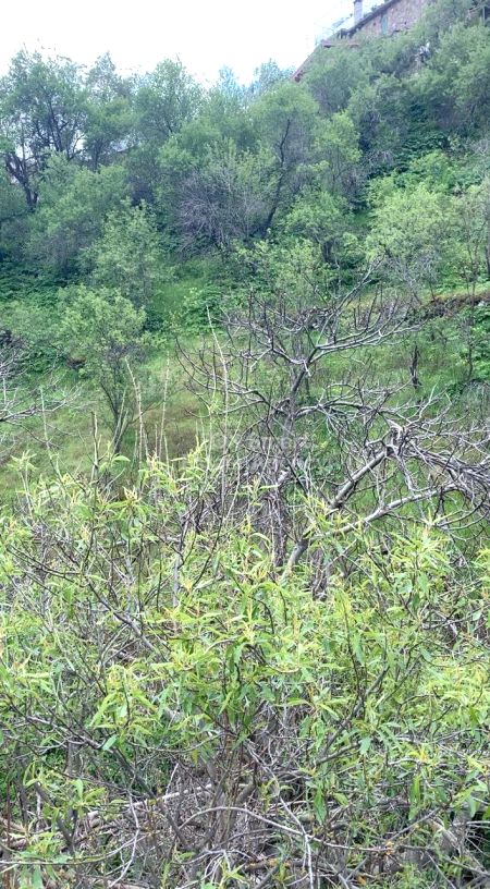 Terreno Residencial en venta