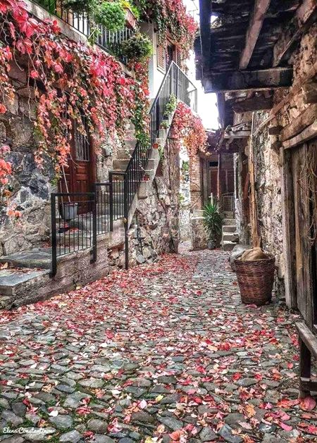 Terreno Residencial en venta