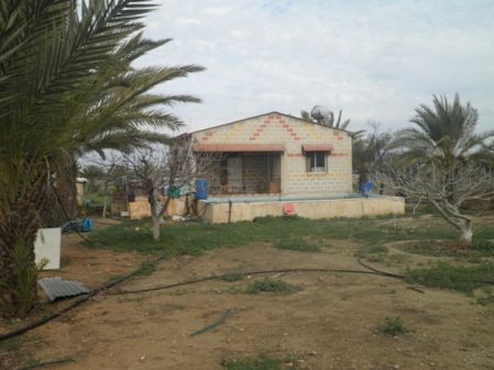 Astromeritis, Nicosia