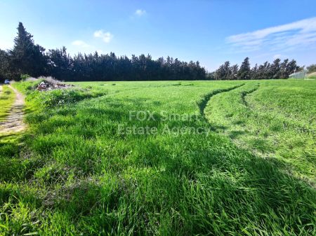 Thumbnail 2 לרנקה למכירה קרקעות וחלקות