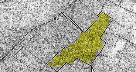 קאטו דפטרה, ניקוסיה