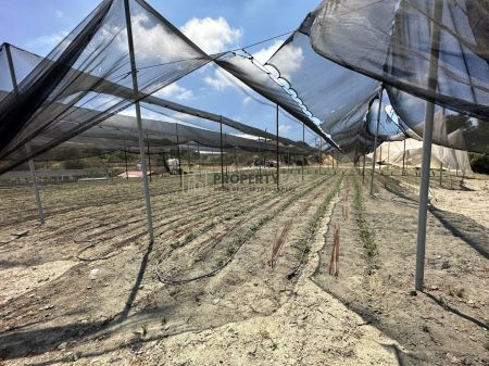 Terrains résidentiels à vendre