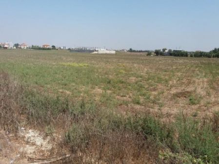 Thumbnail 3 Terreni E Appezzamenti In Vendita Larnaca