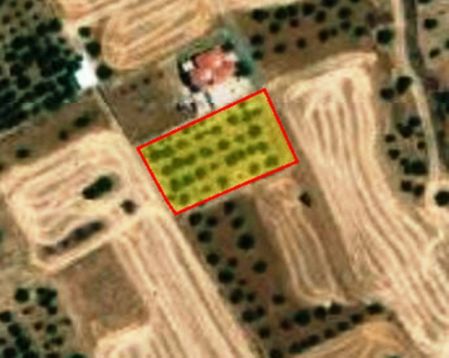 Residential Land for sale