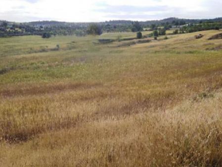 Residential Land for sale