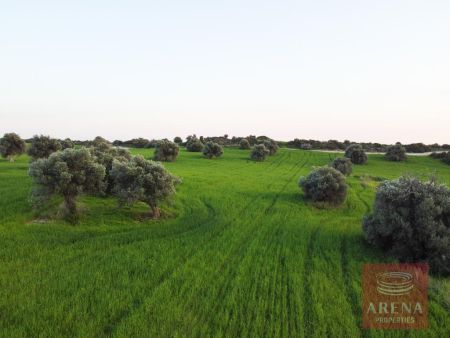 Οικιστικό Οικόπεδο προς πώληση