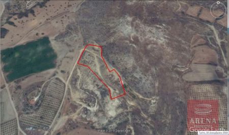 Мансура, Никосия