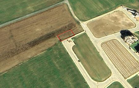 Мансура, Никосия