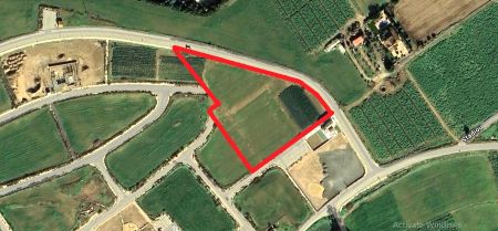 Мансура, Никосия