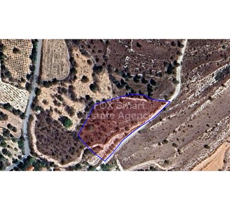 Thumbnail 1 Terreno En Venta Chipre