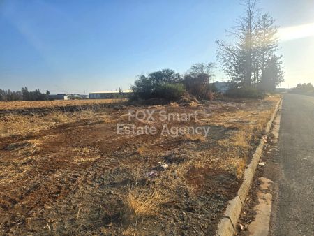 Μανσούρα, Λευκωσία